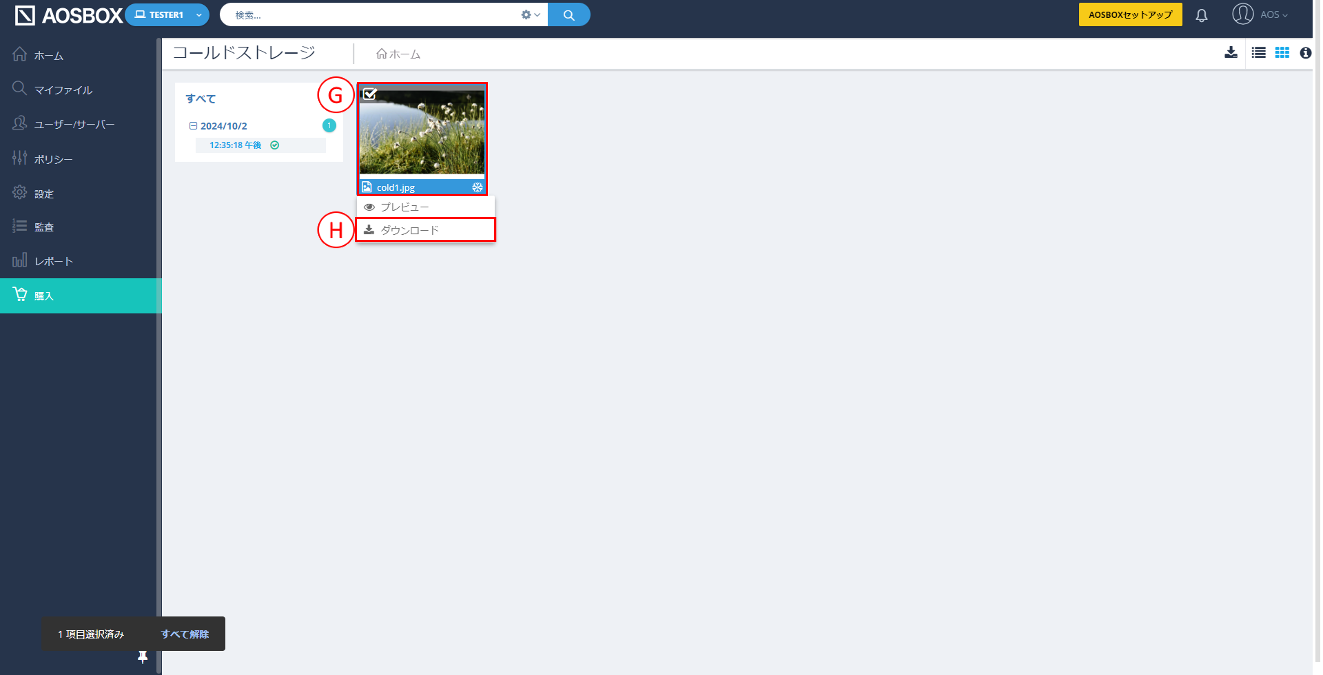 Web管理画面からの復元