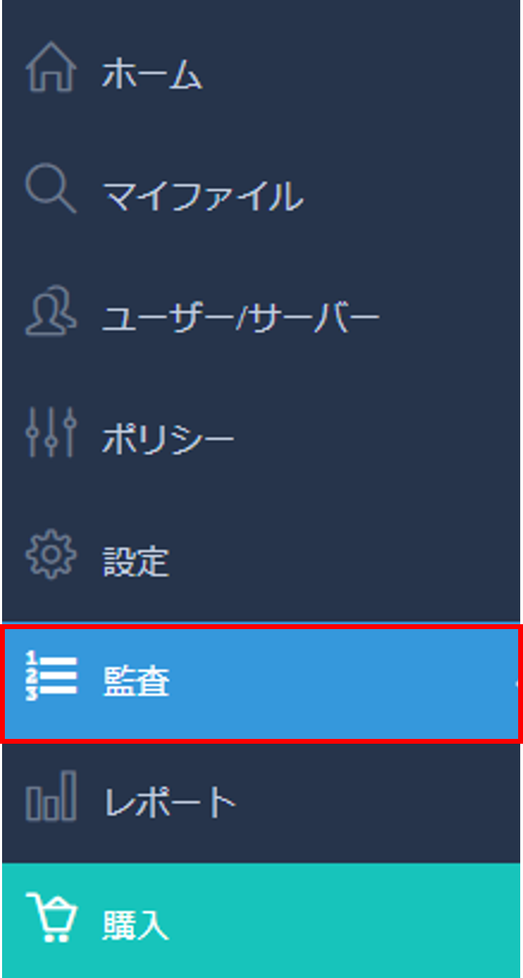 監査レポート